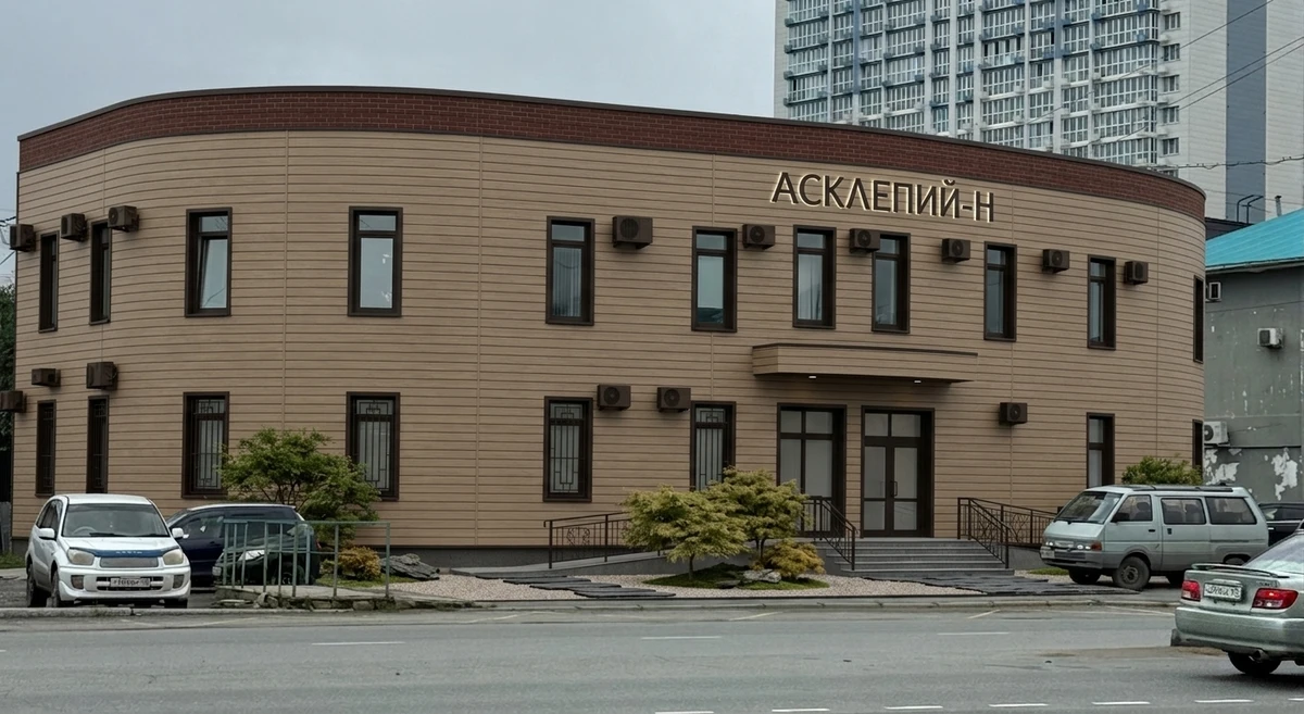 Дизайн фасада в стиле Японский минимализм — Фасад от нейросети AI Facade